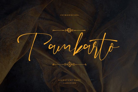 Tambarto: Elevating Handmade Brand Identity with Elegant Script Typography